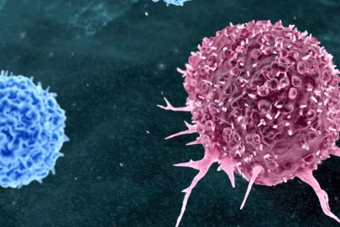 Cientistas criam tratamento sem quimioterapia para câncer de mama
