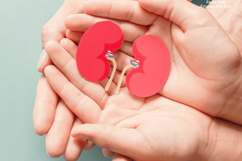 Dia Mundial do Rim: doenças renais são silenciosas e exigem atenção