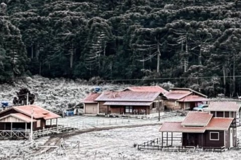 Onda de frio coloca 333 municípios em alerta para geadas no ‘dia mais frio do ano’