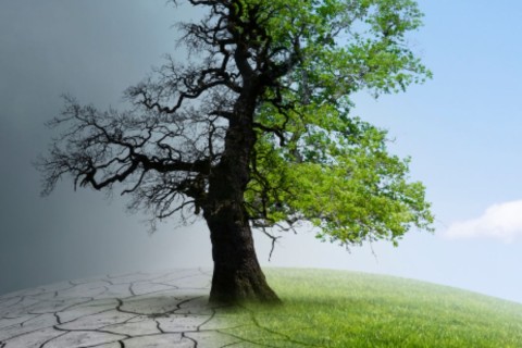 Mudanças climáticas já afetam 85% dos brasileiros, diz pesquisa