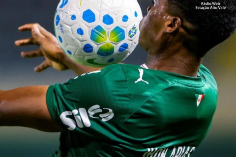 Palmeiras é o grande líder do Campeonato Brasileiro, com 41 pontos, sete de vantagem do vice-líder Flamengo