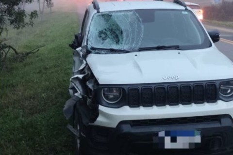 Irmãos de 7 e 14 anos morrem atropelados em grave acidente na BR-470, em SC