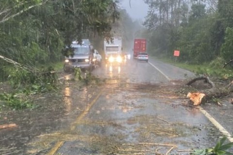 Temporal provoca queda de árvores e complica trânsito na BR-470 entre Rio do Sul e Pouso Redondo
