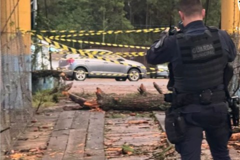 Ponte que dá acesso à BR-470 é interditada por queda de árvore após temporal deixar rastro de destruição em Rio do Sul