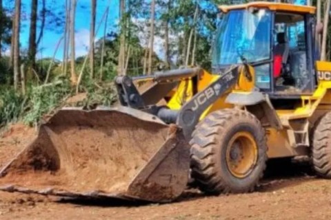 Árvore desliza e mata trabalhador de 50 anos durante extração de madeira em SC