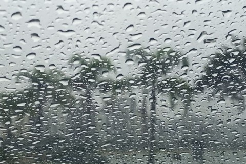 Semana começa com chuva intensa e termina com temperaturas amenas em Santa Catarina