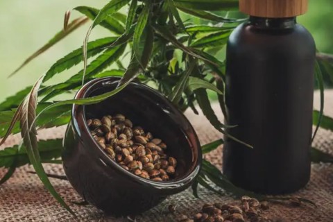 Projeto apoia mães e crianças atípicas tratadas à base de cannabis