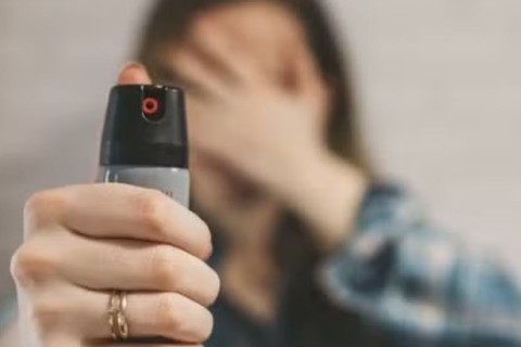 Santa Catarina aprova fornecimento de spray de pimenta para mulheres com medidas protetivas
