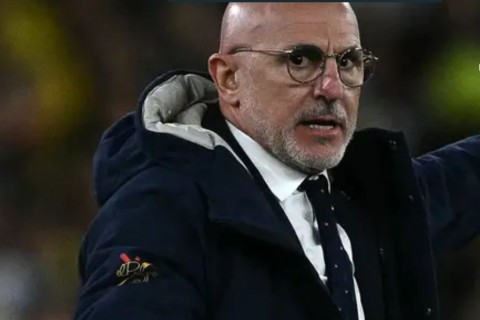 Técnico da Espanha, Luis de la Fuente nega favoritismo contra França