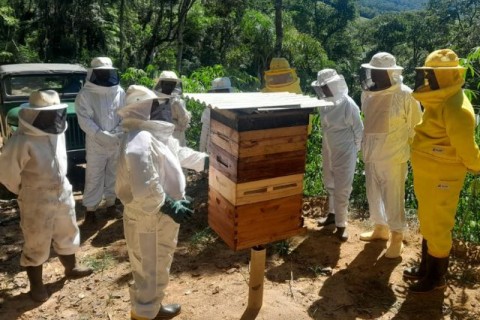 Secretaria da Agricultura e Epagri investem na qualificação da apicultura catarinense