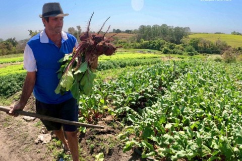 Rio do Sul abre chamada pública de R$ 1,12 milhão para compra de alimentos da agricultura familiar