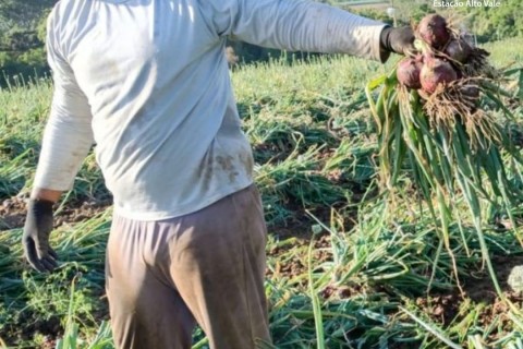 Com rombo de R$ 100 milhões, crise na “Terra da Cebola” ensaia alta para 1,2 mil famílias