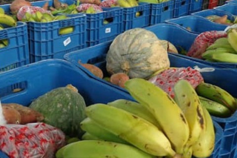 Prefeitura investirá R$ 1,98 milhão na compra de alimentos da agricultura familiar para a merenda escolar