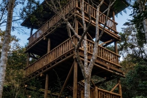 Prefeitura de Rio do Sul vai inaugurar torre de observação de aves no Jardim Botânico