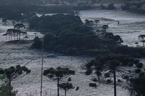 Manhã mais fria do ano em SC tem temperaturas de -3°C e Serra coberta de geada