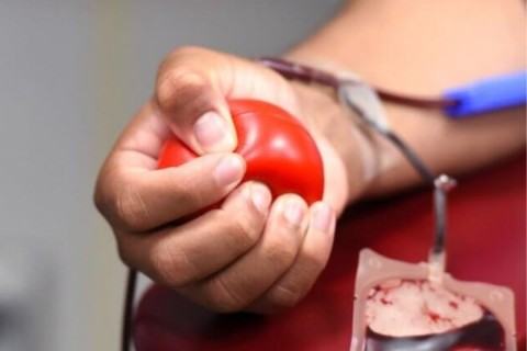 Rio do Sul terá coleta de sangue do HEMOSC no dia 1º de abril