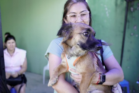 Abril Laranja: no mês de combate à crueldade contra os animais, Governo de SC destaca ações para o bem-estar animal